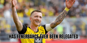 Most Assists in Borussia Dortmund History
